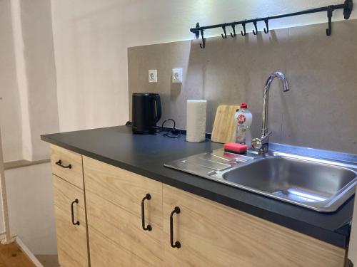 a kitchen with a sink and a counter top at studio apartment Vicelic in Dubrovnik