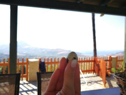 a hand holding a remote control in front of a balcony at Arodamos Residence Mariou in Marioú