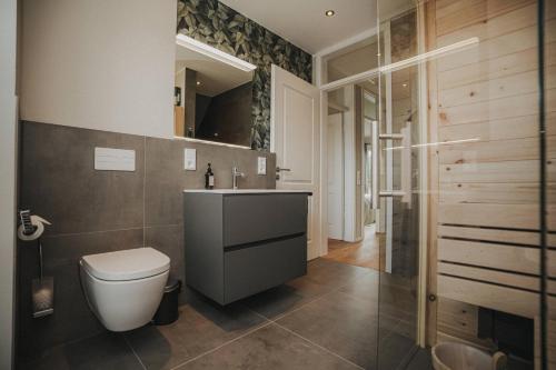 a bathroom with a toilet and a sink at Nordsee Park Haus Stella in Dangast