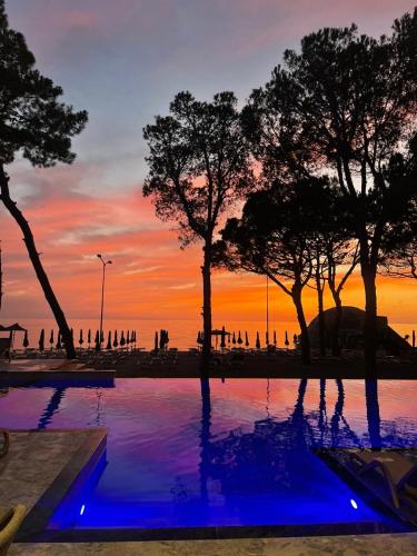 Kolam renang di atau dekat dengan Alexander Resort