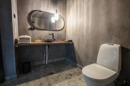 a bathroom with a toilet and a sink and a mirror at Ilmaveere Butiikhotell ja Restoran in Obinitsa