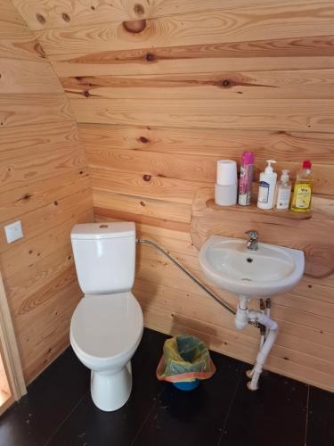 a bathroom with a toilet and a sink at Kempings Mežmalas in Usma