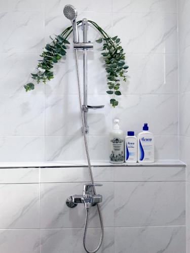 a shower in a bathroom with two bottles of soap at Naksan Wellness Stay, Jongno, Quiet & Cozy in Seoul