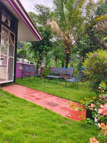 a park with two benches and a palm tree at Villoonnickal Homestay in Munnar