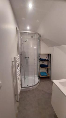une salle de bain avec douche et lavabo dans l'établissement Maison appartement, à Fénay