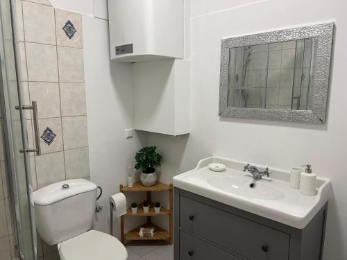 a bathroom with a toilet and a sink and a mirror at Charmante Ferienwohnung in Vordernberg - Alpenidylle pur in Vordernberg