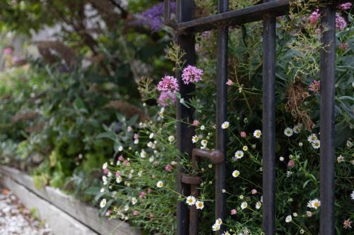 a garden with flowers on a black fence at The Church at Haven on High in Campbell Town