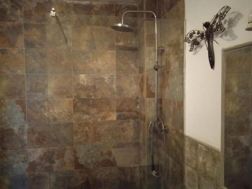 a bathroom with a shower with a glass door at Libélula in La Losa