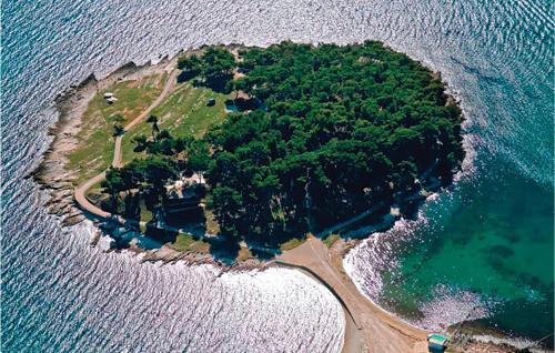 an island in the ocean with a house on it at Three-Bedroom Apartment In Medulin in Medulin