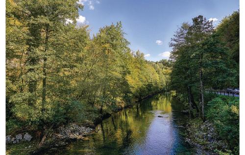 a river with trees on the side of it at 3 Bedroom Nice Home In Moravice in Moravice
