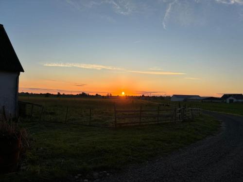 a sunset in a field with a fence next to a road at Österlen Oasis in Spjutstorp