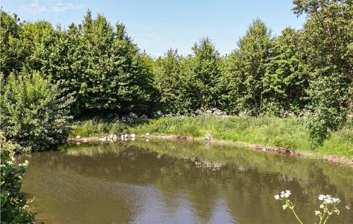 a group of ducks swimming in a river at Amazing Home In Klemensker With Wifi in Klemensker