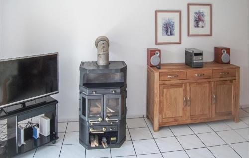 TV a/nebo společenská místnost v ubytování Ferienhaus 266 In Frankenau