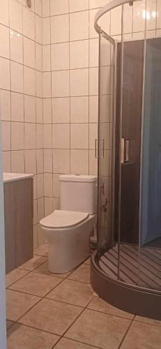 a bathroom with a toilet and a shower at L'harmony in Saint-Joseph