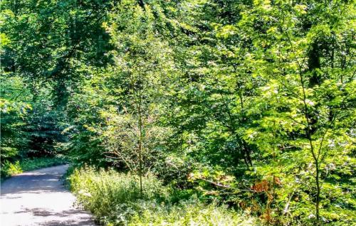 a dirt road through a forest with trees at Ferienhaus 30 In Frankenau in Frankenau