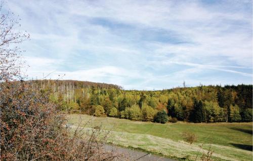 a grassy field with trees in the background at Ferienhaus 30 In Frankenau in Frankenau