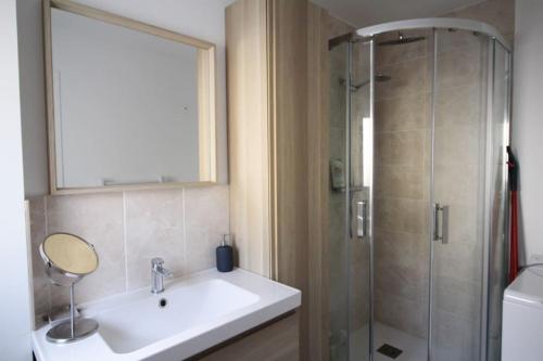 une salle de bain avec un lavabo et une douche dans l'établissement Appartement avec terrasse privée, plage à pied, à Saint-Aubin-sur-Mer