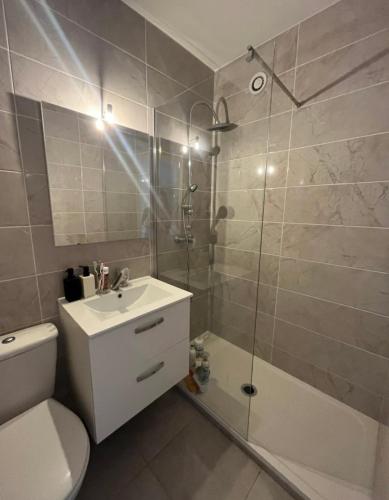 une salle de bain avec une douche, des toilettes et un lavabo dans l'établissement STUDIO au calme, à Nice