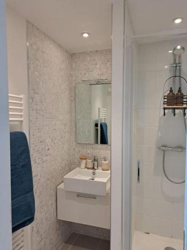 une salle de bain avec un lavabo et un miroir dans l'établissement Grand appartement lumineux Rennes, à Rennes