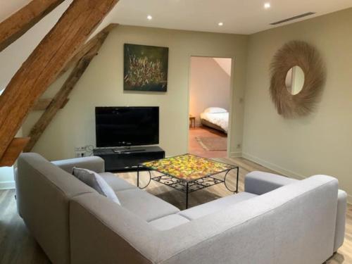 TV a/nebo společenská místnost v ubytování Appartement spacieux au domaine