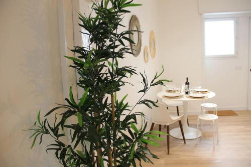 Le bambou - Appartement avec terrasse photo 11