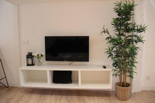 Le bambou - Appartement avec terrasse photo 16