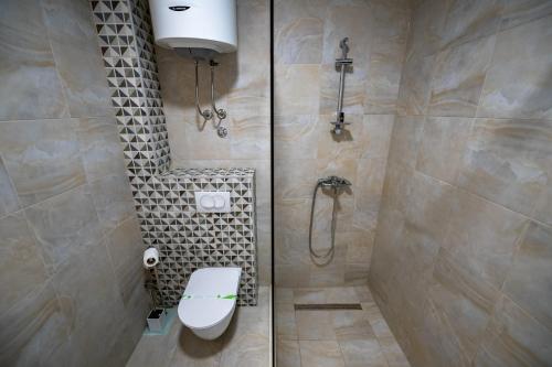 a bathroom with a toilet and a shower in it at Nature View in Mostar