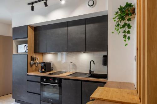 - une cuisine avec des placards noirs et un évier dans l'établissement OIQIA • Clairière, à Bourges