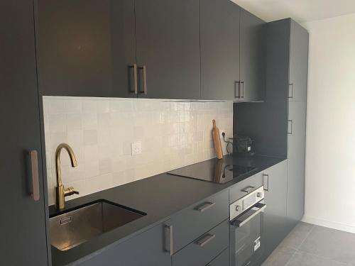 une cuisine avec des armoires grises et un évier dans l'établissement M25 Marquer joli T2 proche frontière, à Annemasse