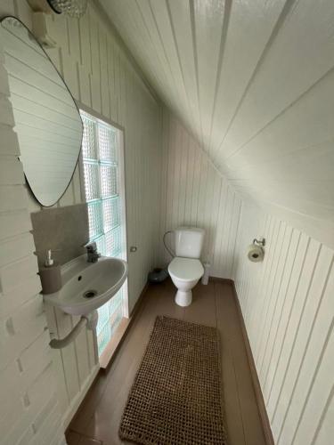 a bathroom with a toilet and a sink and a mirror at Aaviku Holiday Houses in Vanamõisa