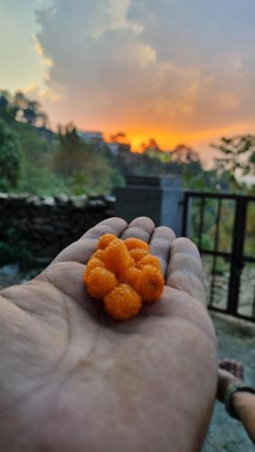 a person holding a piece of food in their hand at Saanjh Binsar, Himalaya ka Dwaar in Hawālbāgh