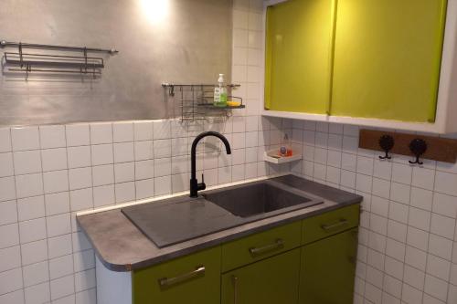 - une cuisine avec un évier et des placards verts dans l'établissement Villa le bois Joli, à La Bourboule
