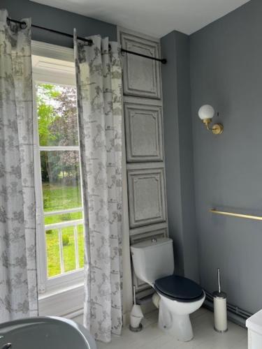 une salle de bain avec toilettes et fenêtre dans l'établissement Château de Goville, à Le Breuil-en-Bessin
