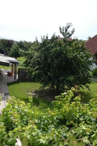 a tree in the middle of a yard at Ferienhaus Radlwiesn in Sankt Margarethen im Burgenland
