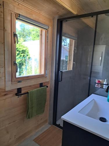 une salle de bain avec une douche et un lavabo et une fenêtre dans l'établissement Chalet au cœur d'un domaine, à Marcilly-sur-Eure