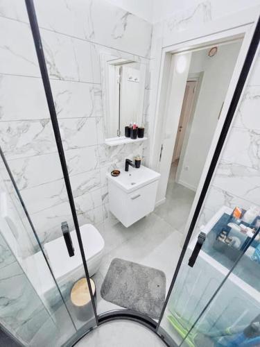 a bathroom with a shower and a toilet and a sink at Apartman DE LUX RADIVOJEVIĆ in Sutomore