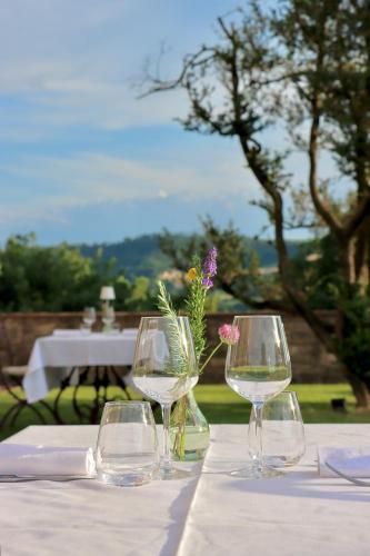 three wine glasses sitting on a table with a vase at Castello di Viano in Viano