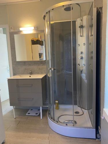 une salle de bain avec douche et lavabo dans l'établissement Maison à 1km du circuit des 24h du Mans, au Mans