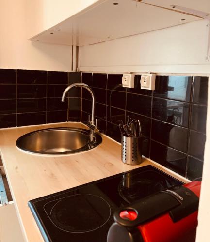 Il comprend une cuisine équipée d'un évier et d'une cuisinière. dans l'établissement Studio Anvers, à Paris