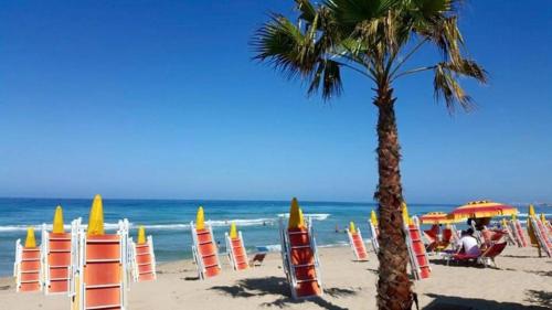 Pantai di atau dekat dengan penginapan & sarapan