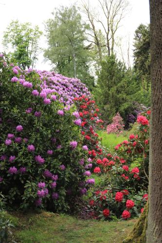 a garden of flowers with pink and red roses at Jasny Dwór in Polanica-Zdrój