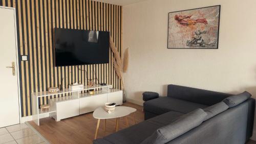 TV a/nebo společenská místnost v ubytování Appartement T3 Clermont-Ferrand