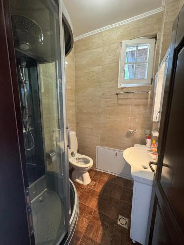 a bathroom with a shower and a toilet and a sink at Villa RELAX Miševići in Sarajevo