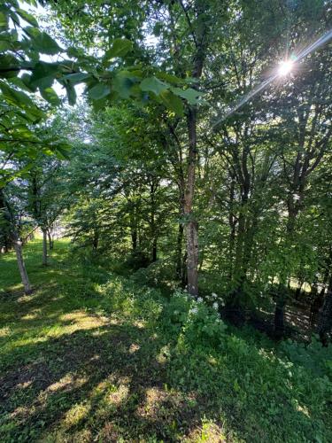 a field of grass with trees and a fence at Villa RELAX Miševići in Sarajevo