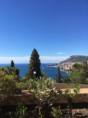 - une vue sur l'océan depuis le jardin dans l'établissement Appartement 2 pièces rare, à Roquebrune-Cap-Martin