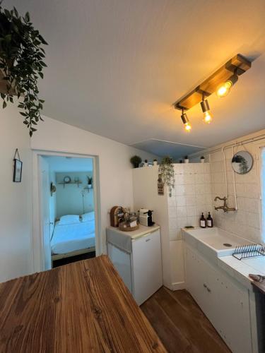 - une cuisine avec évier et un lit dans une chambre dans l'établissement Le petit abri de la Garenne - Séjour cosy à Blois, à Blois