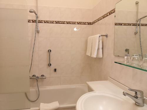 a bathroom with a shower and a toilet and a sink at Hotel de Weimar in Ludwigslust