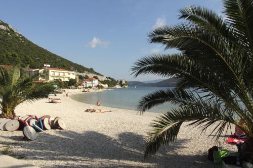 a beach with a palm tree and people laying on the sand at Apartments Tamaris in Klek