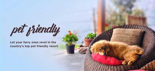 Ospiti di Grand Madurai by GRT Hotels con animali domestici