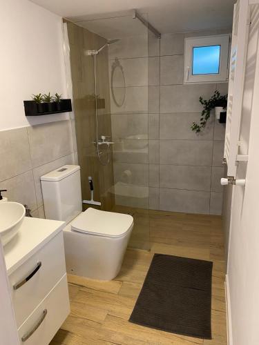 a bathroom with a toilet and a glass shower at Domki na skraju lasu in Jasień